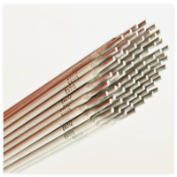 Electrode