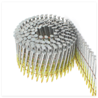 Coil nail